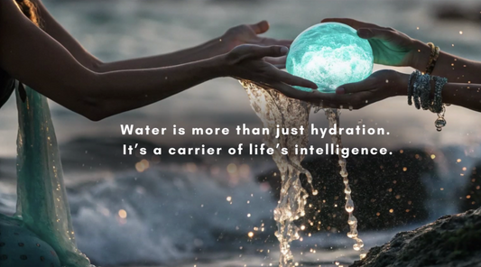 Nuno Nina’s Cell Power Water Bottle: The Future of Therapeutic Hydration Is Here